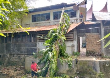Pohon Tumbang Timpa Panti Asuhan Muhammadiyah di Padang