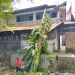 Pohon Tumbang Timpa Panti Asuhan Muhammadiyah di Padang