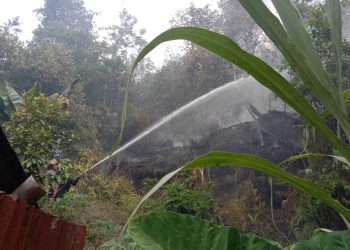 Lahan Seluas Empat Hektare Terbakar di Lima Puluh Kota