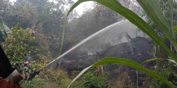 Lahan Seluas Empat Hektare Terbakar di Lima Puluh Kota
