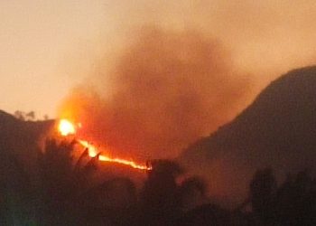 300 Hektare Hutan dan Lahan di Kabupaten Solok Terbakar