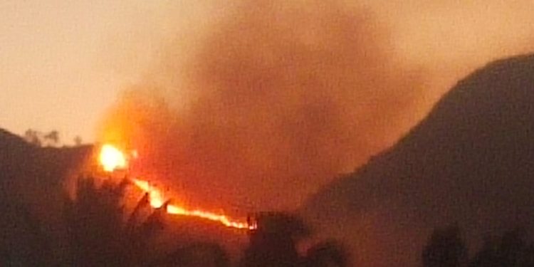 300 Hektare Hutan dan Lahan di Kabupaten Solok Terbakar