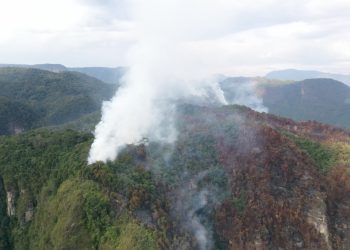 10 dari 13 Kecamatan di Lima Puluh Kota Terdampak Karhutla    