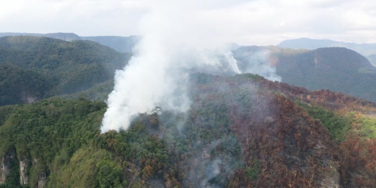 10 dari 13 Kecamatan di Lima Puluh Kota Terdampak Karhutla    