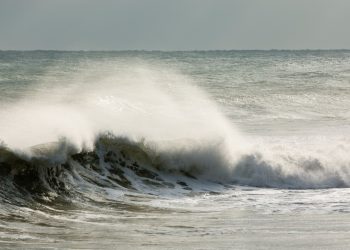 Antisipasi  Bencana Megathrust di Mentawai, BPBD Siapkan 22 Titik Evakuasi