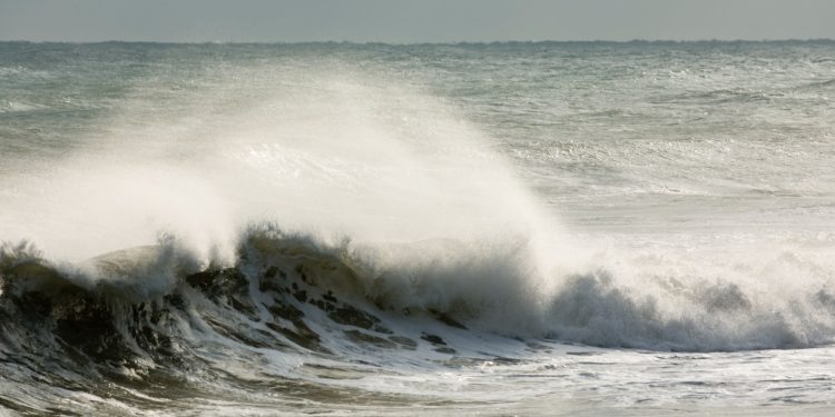 Antisipasi  Bencana Megathrust di Mentawai, BPBD Siapkan 22 Titik Evakuasi