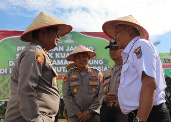 Pemkot dan Polres Payakumbuh Gelar Penanaman Jagung Serentak Dukung Swasembada Pangan Nasional