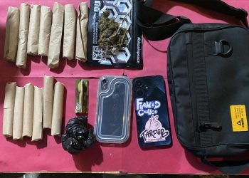 Dua Mahasiswa Ditangkap di Kampus Ternama di Padang, 13 Paket Ganja Siapa Edar Diamankan