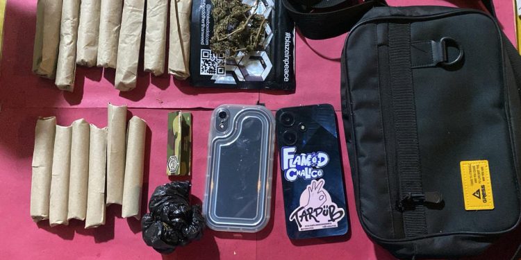 Dua Mahasiswa Ditangkap di Kampus Ternama di Padang, 13 Paket Ganja Siapa Edar Diamankan