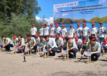 Fadly Amran dan Astra Tanam 16 Ribu Mangrove untuk Benteng Pesisir Padang