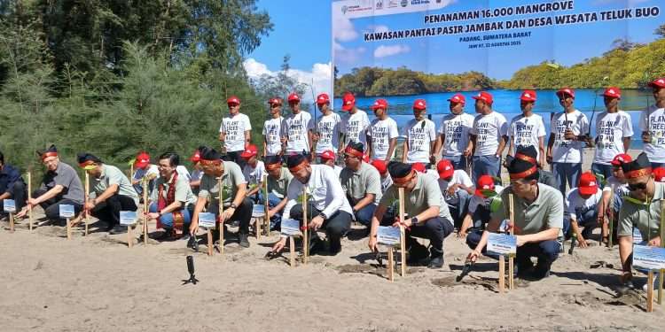 Fadly Amran dan Astra Tanam 16 Ribu Mangrove untuk Benteng Pesisir Padang