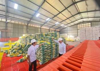 Stok Beras di Sumbar Dipastikan Aman hingga Akhir 2025