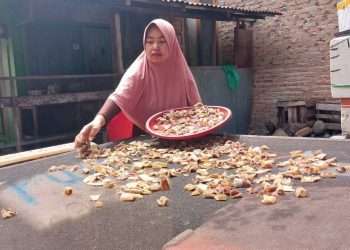 Kerupuk Kulit Hiu Zikra, Inovasi dari Pasie Nan Tigo, Kota Padang