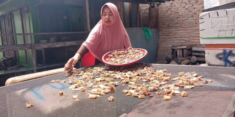 Kerupuk Kulit Hiu Zikra, Inovasi dari Pasie Nan Tigo, Kota Padang