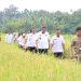 Pemko Pariaman Tindak Lanjuti Serangan Hama Wereng di Kecamatan Pariaman Utara