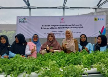 Srikandi PLN Hadirkan Green House Hidroponik, Dongkrak Lahirnya Kelompok Dasawisma di Padang