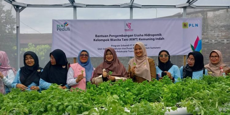 Srikandi PLN Hadirkan Green House Hidroponik, Dongkrak Lahirnya Kelompok Dasawisma di Padang