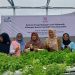 Srikandi PLN Hadirkan Green House Hidroponik, Dongkrak Lahirnya Kelompok Dasawisma di Padang