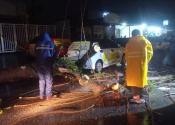 Tiga Hari Dilanda Cuaca Ekstrem, 18 Pohon Tumbang di Padang