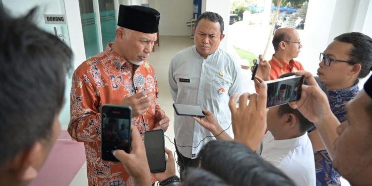 Permintaan Global Membaik, Sumbar Akan Kembali Ekspor Gambir ke India
