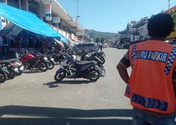 Target PAD Retribusi Parkir 2026 Melonjak 58 Persen, Dishub Kota Padang Optimis Maksimalkan Potensi Baru