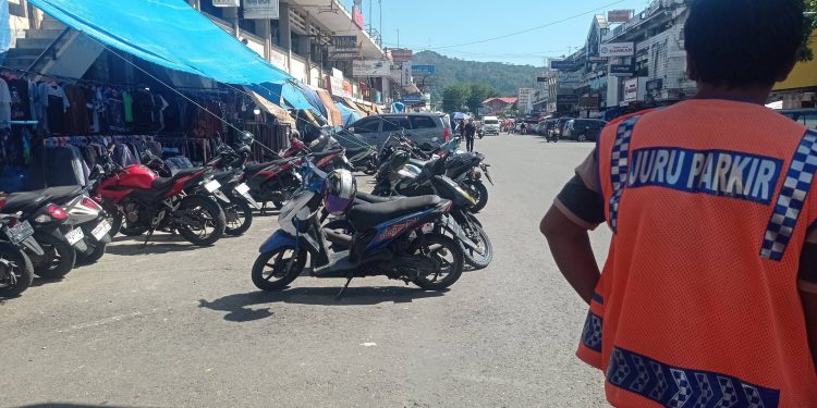 Target PAD Retribusi Parkir 2026 Melonjak 58 Persen, Dishub Kota Padang Optimis Maksimalkan Potensi Baru