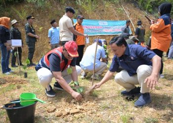 Pulihkan Ekologi Pascabencana, PT Semen Padang Serahkan 10 Ribu Bibit Kaliandra