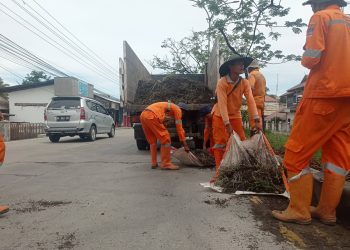 Taman Sepanjang Jalan Raya Indarung Dirapikan