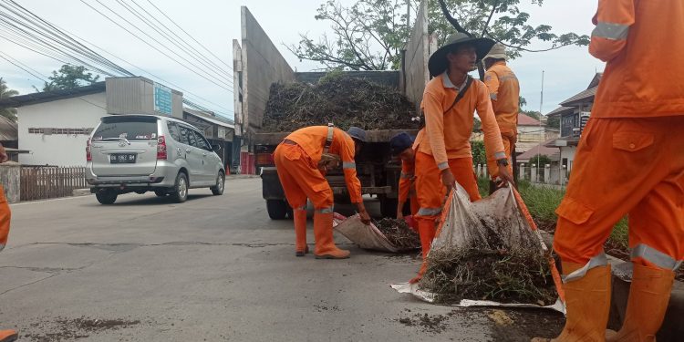 Taman Sepanjang Jalan Raya Indarung Dirapikan