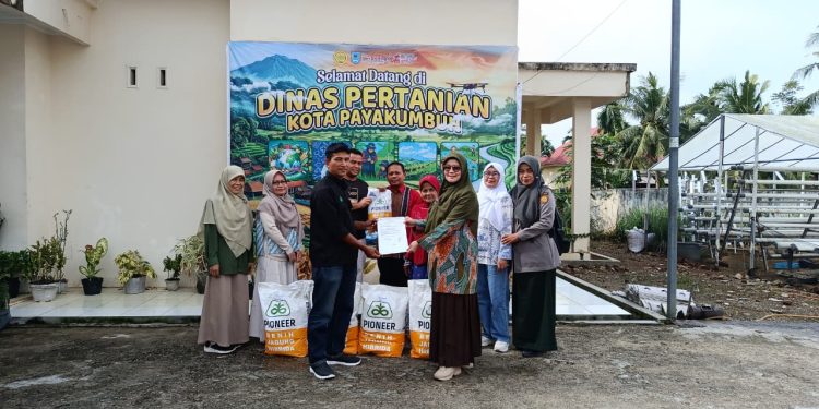 Wali Kota Zulmaeta Salurkan Bantuan Benih Jagung Pulihkan Pertanian Terdampak Bencana Payakumbuh